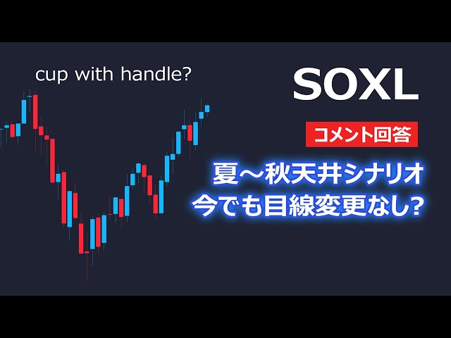 SOXLはこの夏ピークでその後大きく下落しますか？【コメント回答】 | 米国株,米国株投資