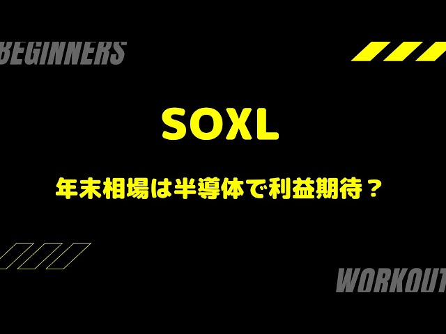 年末相場でSOXLに爆益期待？？ #SOXL #米国株