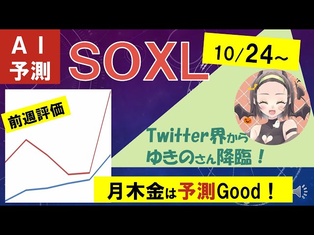 来週予測、正反対！【SOXL】10/24～予想